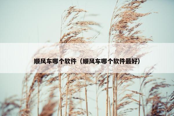 顺风车哪个软件（顺风车哪个软件最好）