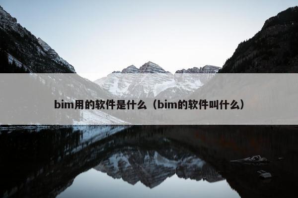 bim用的软件是什么（bim的软件叫什么）