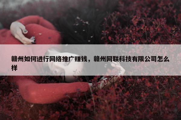 赣州如何进行网络推广赚钱，赣州网联科技有限公司怎么样