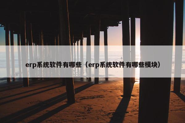 erp系统软件有哪些（erp系统软件有哪些模块）