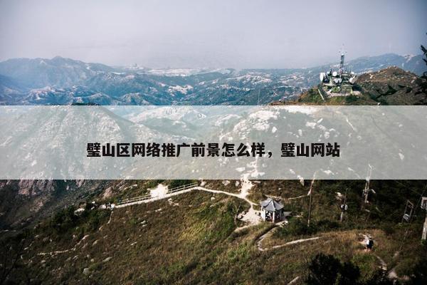 璧山区网络推广前景怎么样，璧山网站