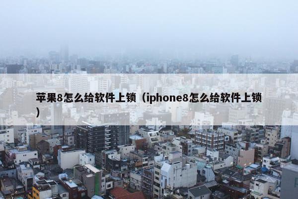 苹果8怎么给软件上锁（iphone8怎么给软件上锁）