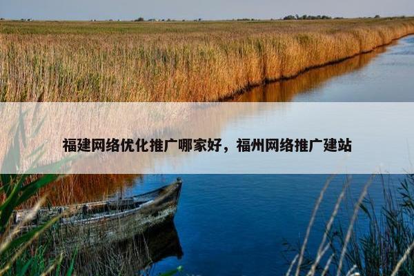 福建网络优化推广哪家好，福州网络推广建站