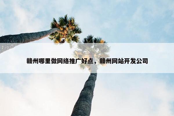 赣州哪里做网络推广好点，赣州网站开发公司