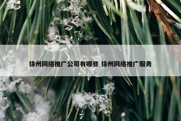 徐州网络推广公司有哪些 徐州网络推广服务