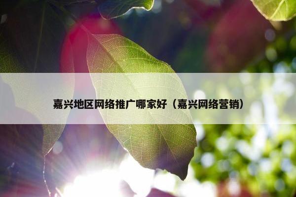 嘉兴地区网络推广哪家好（嘉兴网络营销）