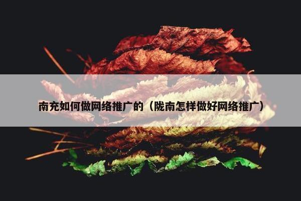 南充如何做网络推广的（陇南怎样做好网络推广）