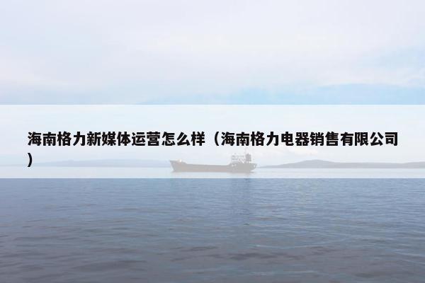 海南格力新媒体运营怎么样（海南格力电器销售有限公司）