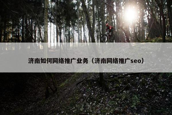 济南如何网络推广业务（济南网络推广seo）