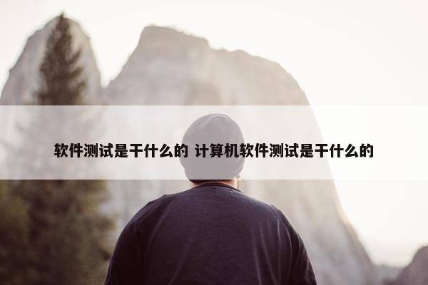 软件测试是干什么的 计算机软件测试是干什么的