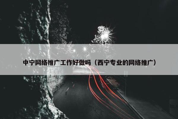 中宁网络推广工作好做吗（西宁专业的网络推广）