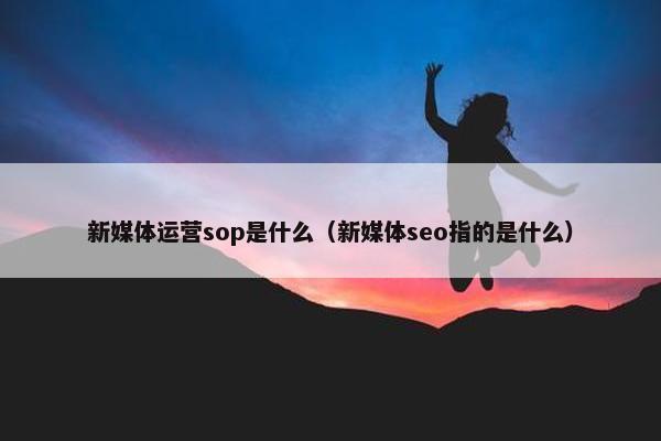 新媒体运营sop是什么（新媒体seo指的是什么）