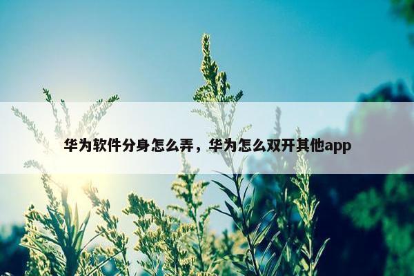 华为软件分身怎么弄，华为怎么双开其他app