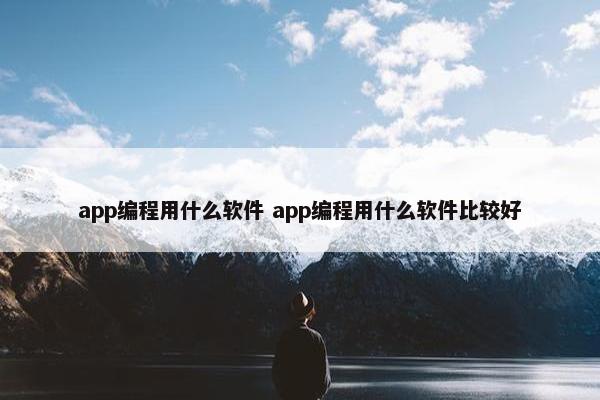 app编程用什么软件 app编程用什么软件比较好