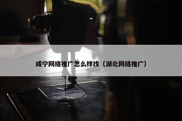 咸宁网络推广怎么样找（湖北网络推广）