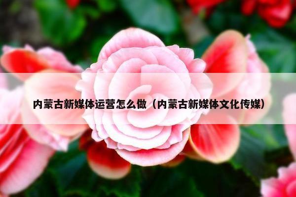 内蒙古新媒体运营怎么做（内蒙古新媒体文化传媒）