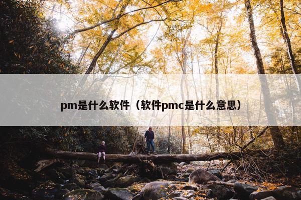 pm是什么软件（软件pmc是什么意思）