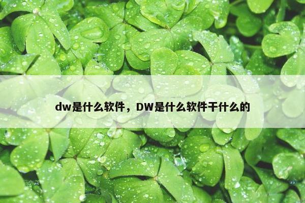 dw是什么软件，DW是什么软件干什么的