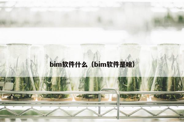 bim软件什么（bim软件是啥）