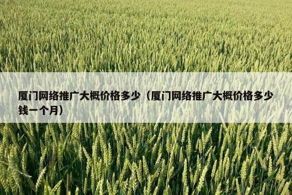 厦门网络推广大概价格多少（厦门网络推广大概价格多少钱一个月）