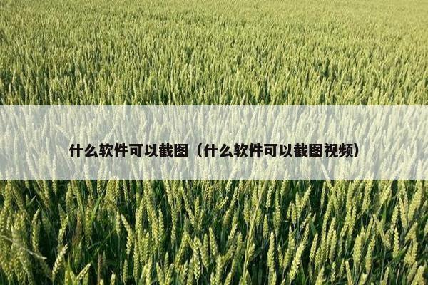 什么软件可以截图（什么软件可以截图视频）