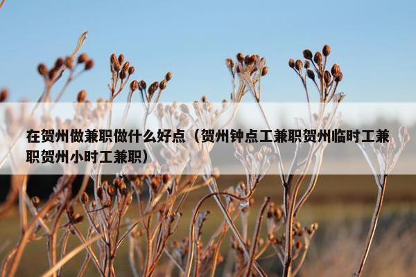 在贺州做兼职做什么好点（贺州钟点工兼职贺州临时工兼职贺州小时工兼职）