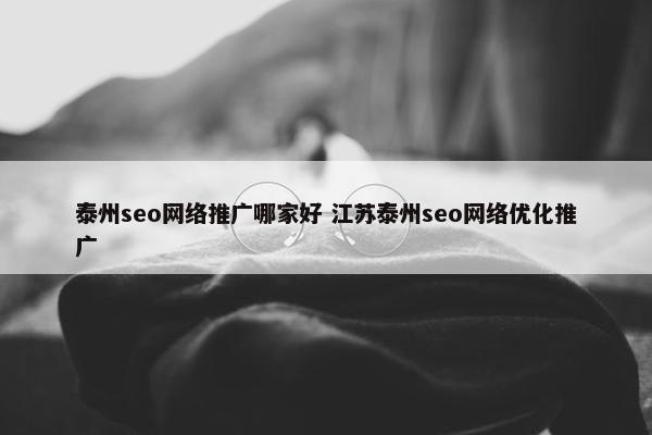 泰州seo网络推广哪家好 江苏泰州seo网络优化推广