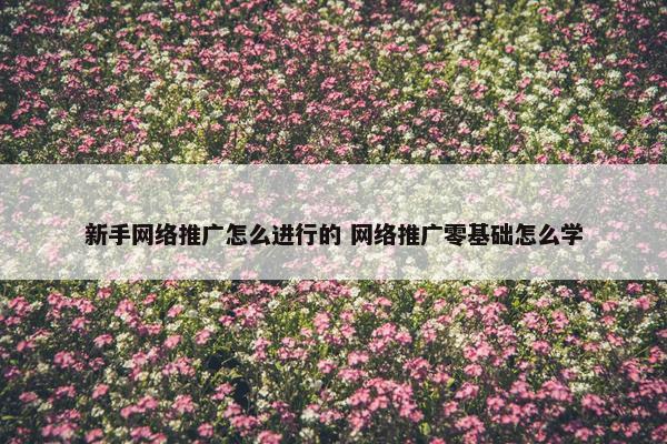 新手网络推广怎么进行的 网络推广零基础怎么学