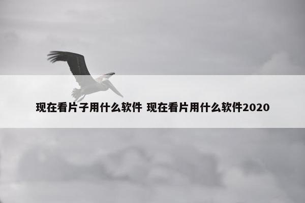 现在看片子用什么软件 现在看片用什么软件2020