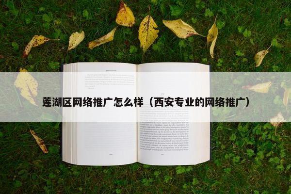 莲湖区网络推广怎么样（西安专业的网络推广）