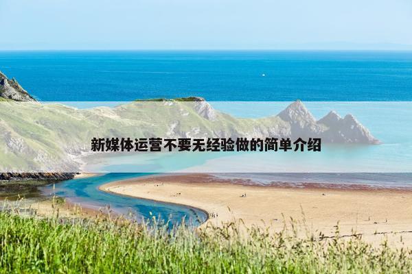 新媒体运营不要无经验做的简单介绍