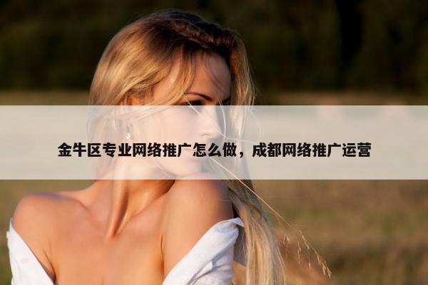 金牛区专业网络推广怎么做，成都网络推广运营