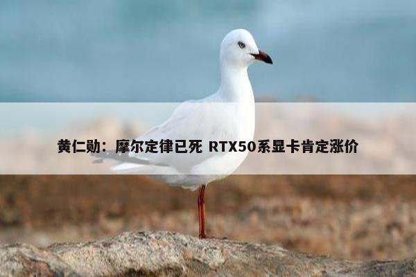 黄仁勋：摩尔定律已死 RTX50系显卡肯定涨价