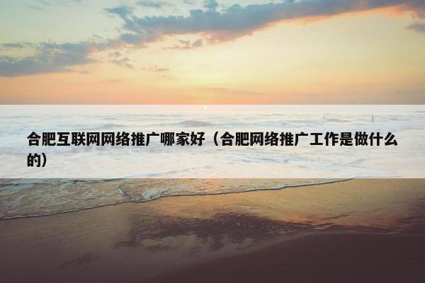 合肥互联网网络推广哪家好（合肥网络推广工作是做什么的）