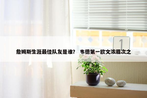 詹姆斯生涯最佳队友是谁？ 韦德第一欧文浓眉次之