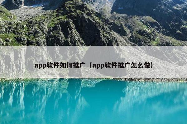 app软件如何推广（app软件推广怎么做）