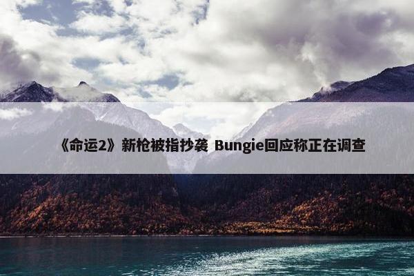 《命运2》新枪被指抄袭 Bungie回应称正在调查