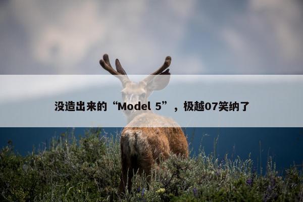 没造出来的“Model 5”，极越07笑纳了