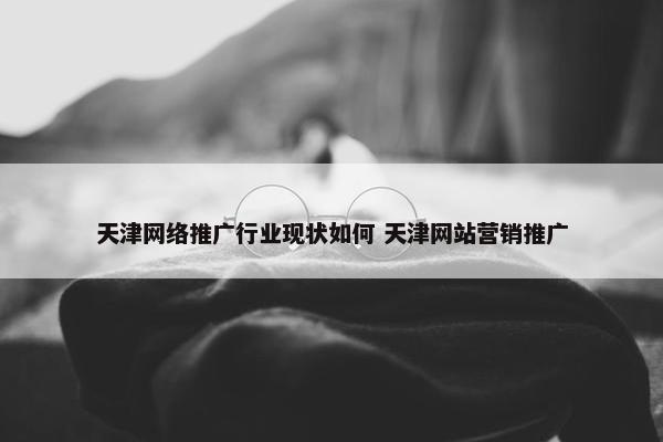 天津网络推广行业现状如何 天津网站营销推广