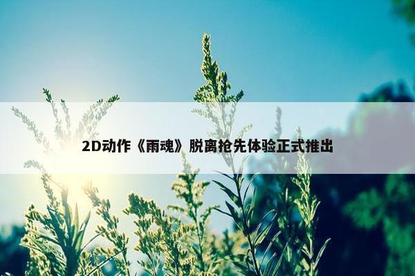 2D动作《雨魂》脱离抢先体验正式推出