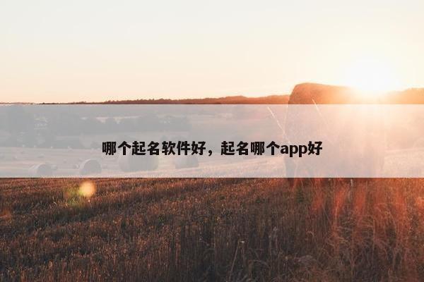 哪个起名软件好，起名哪个app好