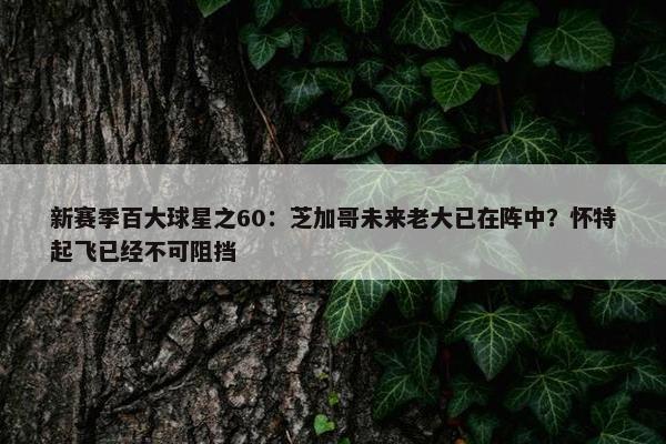 新赛季百大球星之60：芝加哥未来老大已在阵中？怀特起飞已经不可阻挡