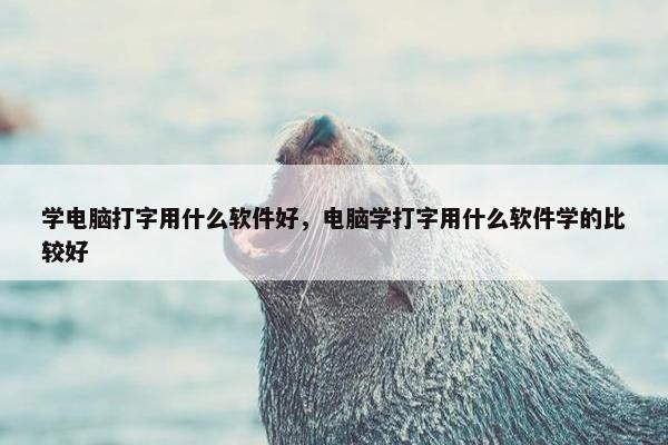 学电脑打字用什么软件好，电脑学打字用什么软件学的比较好