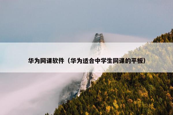 华为网课软件（华为适合中学生网课的平板）