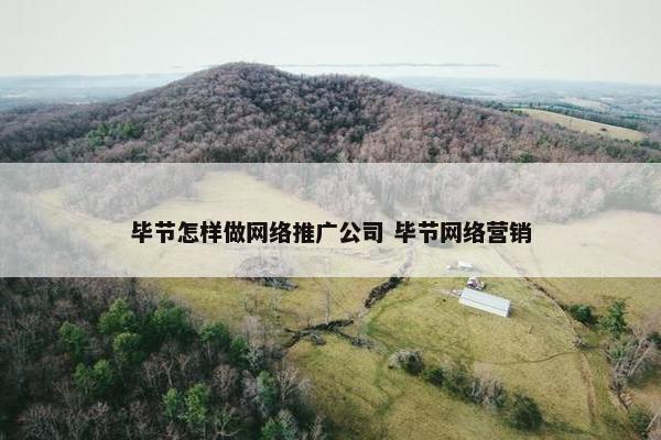 毕节怎样做网络推广公司 毕节网络营销