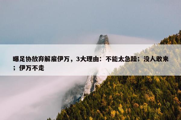 曝足协放弃解雇伊万，3大理由：不能太急躁；没人敢来；伊万不走