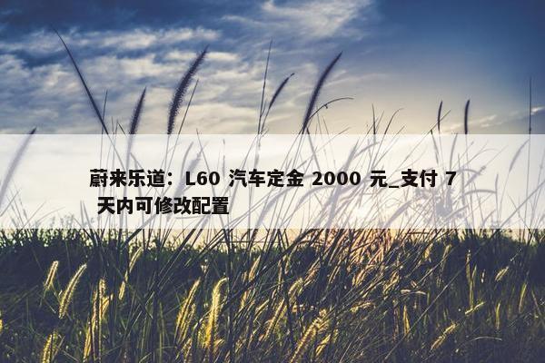 蔚来乐道：L60 汽车定金 2000 元_支付 7 天内可修改配置