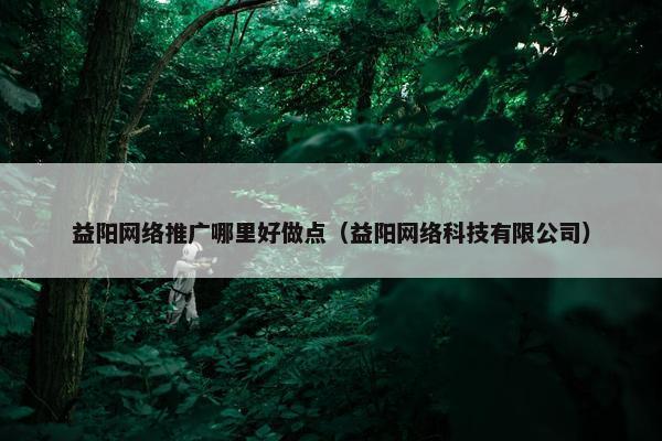 益阳网络推广哪里好做点（益阳网络科技有限公司）