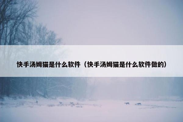 快手汤姆猫是什么软件（快手汤姆猫是什么软件做的）