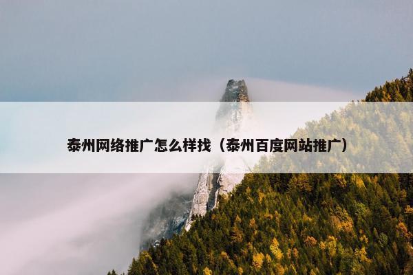 泰州网络推广怎么样找（泰州百度网站推广）